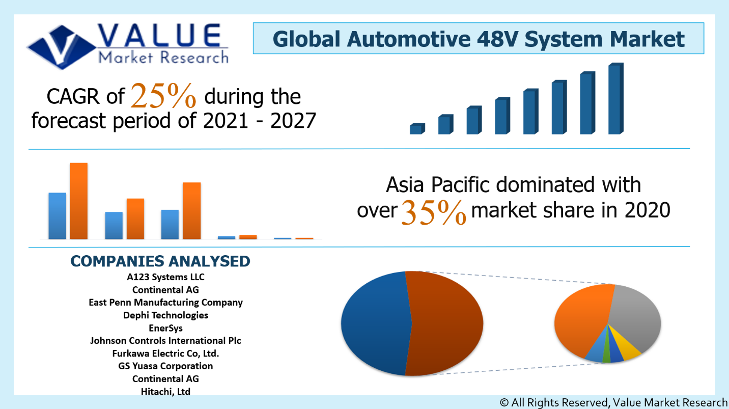 Global Automotive 48V System Market Share
